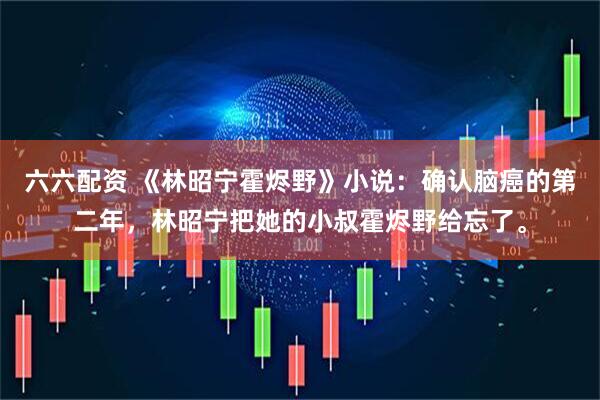 六六配资 《林昭宁霍烬野》小说：确认脑癌的第二年，林昭宁把她的小叔霍烬野给忘了。